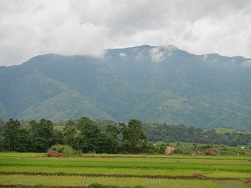 Central Cordillera (Luzon)